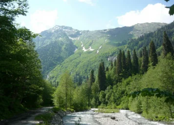 Альпийские луга пик г Мамдзышха отзывы
